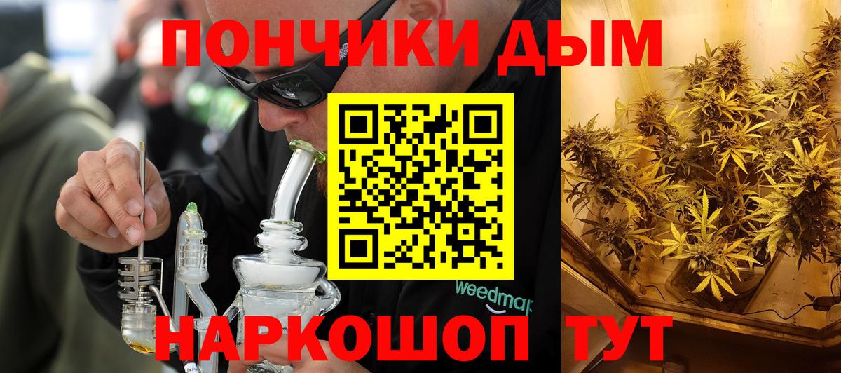 МАРИХУАНА сатива Фурманов